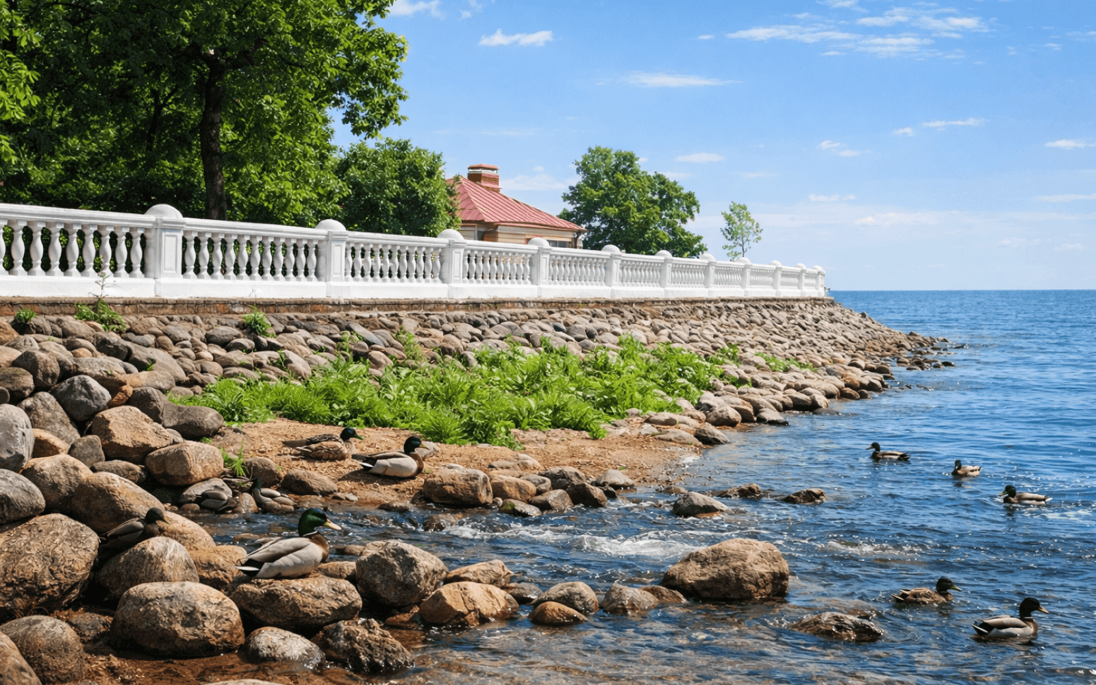 Набережная Финского залива в Петергофе весной