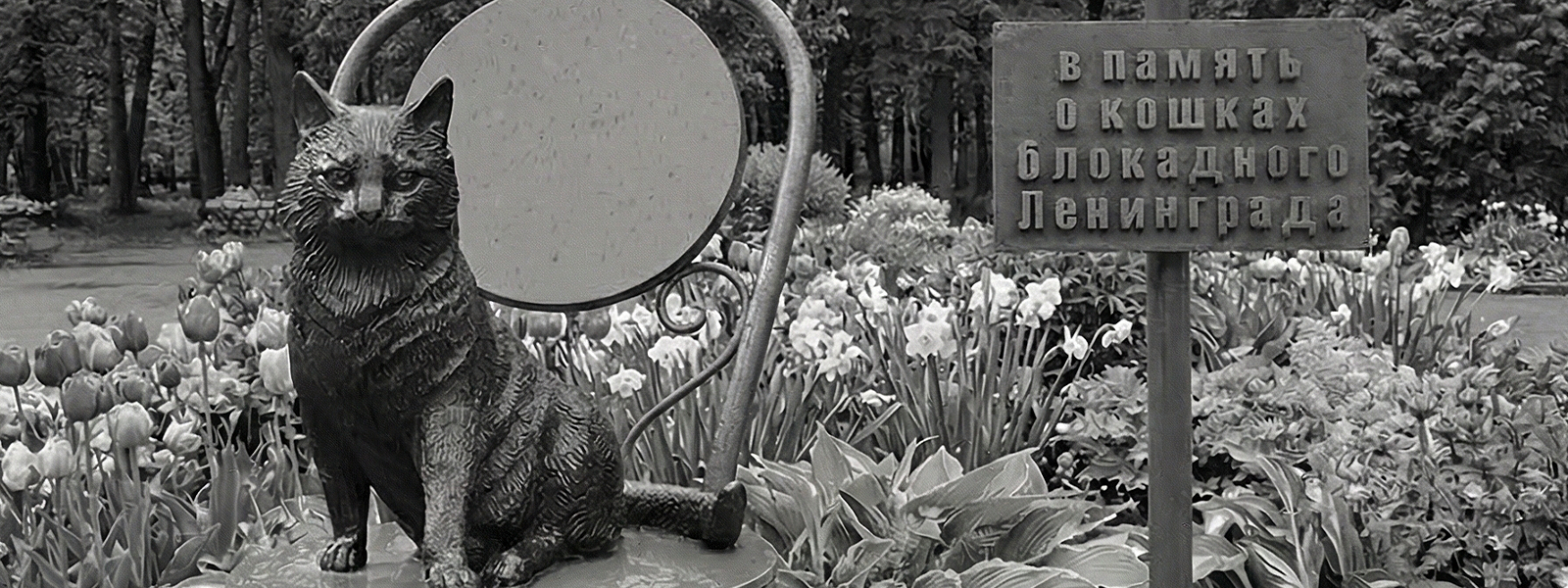 Памятник блокадному коту в Санкт-Петербурге: мемориальный знак в честь кошек, спасавших город от крыс во время блокады