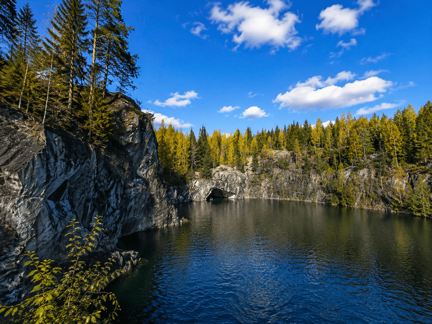 Леса Карелии