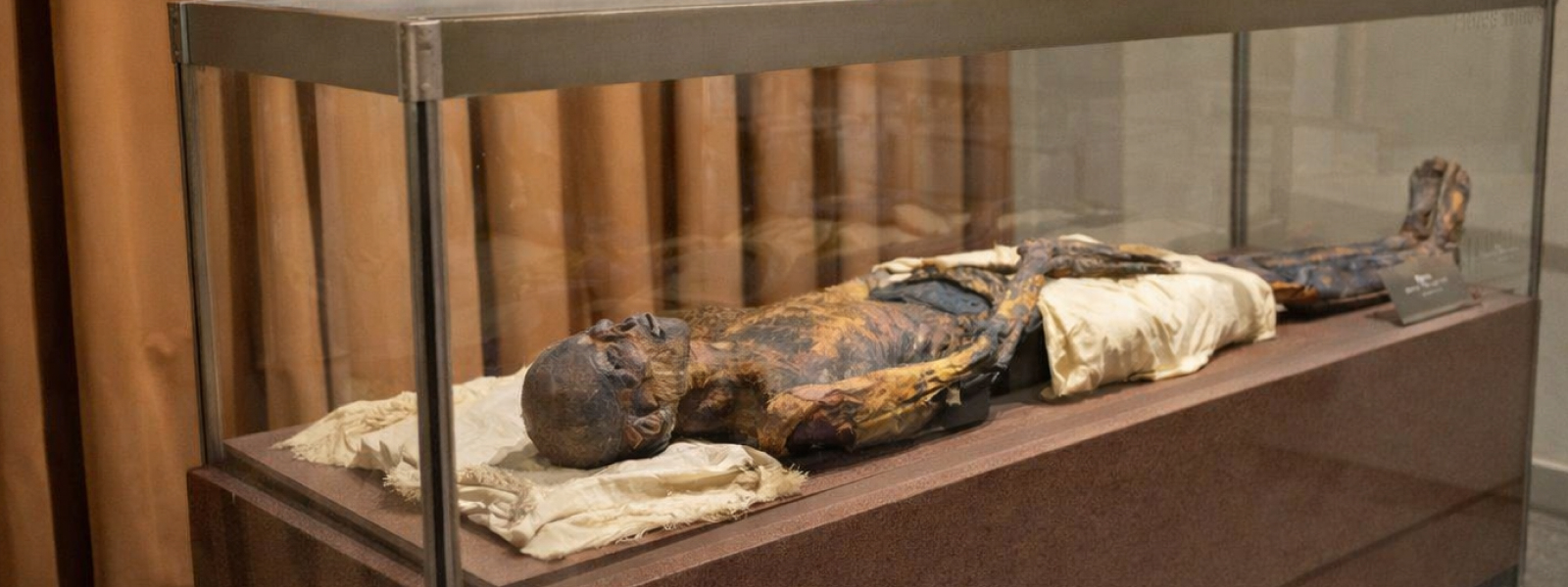 Зал Древнего Египта в Эрмитаже: мумия жреца Па-ди-иста