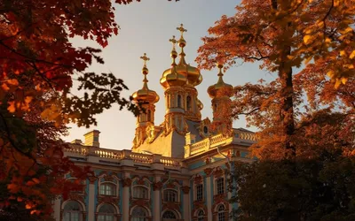 Большое путешествие в Императорские резиденции (Пушкин, Павловск и Гатчина)